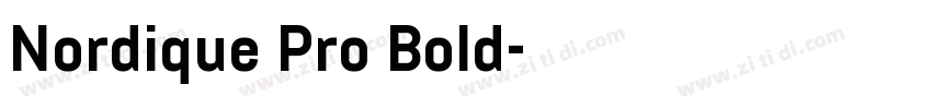 Nordique Pro Bold字体转换
